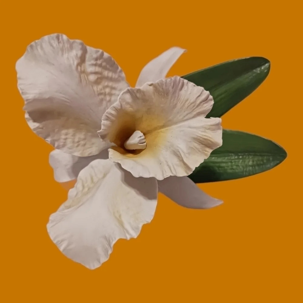 Ronald Ruyckevelt angel bell orchid